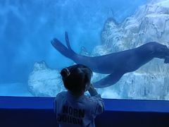 -多彩贵州城极地海洋世界