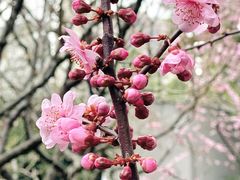-静安雕塑公园