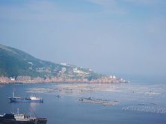 -枸杞岛