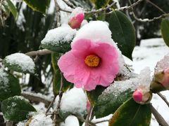 -苏州河梦清园环保主题公园