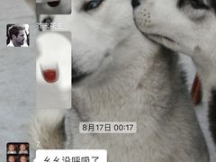 -柏萃动物医院·骨科·牙科