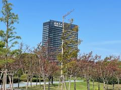 -春花秋色城市公园