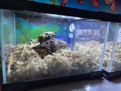 -正佳雨林生态植物园