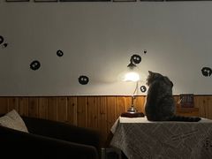 卡座-隅cafe(傅厚岗店)