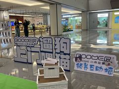 -申普宠物医院·心脏介入·心血管微创(总院)