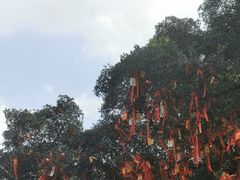 -国恩寺