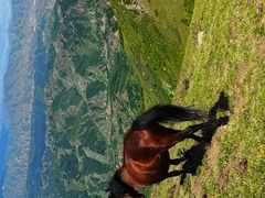 -灵山