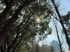 -徐家汇源景区-衡山公园