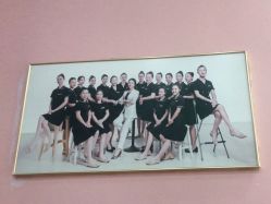 点击看大图 -WENDY·温迪皮肤管理