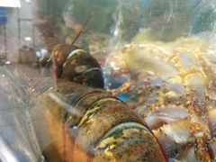 -盒马鲜生(大成店)