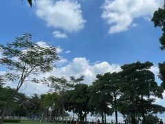 -深圳湾公园(南山区)