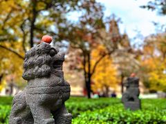-北京石刻艺术博物馆(五塔寺)