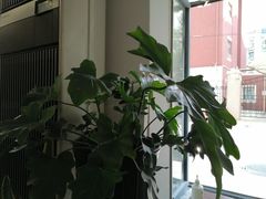 -研途咖啡馆(健康路店)
