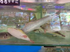 -兄弟爬爬虾(北京路店)