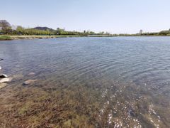 -永定河休闲森林公园