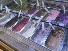 -鹤茶野所(上海首店)