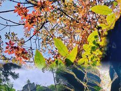 -梭布垭石林景区