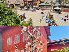 -呀路古热带植物园