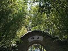 -函谷关历史文化旅游区