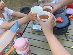 -王顺山国家森林公园