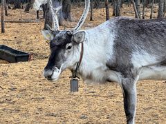 -北极村旅游风景区