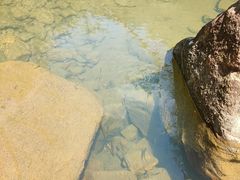 -广州白江湖森林公园