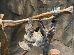 -海合安武汉极地海洋公园