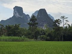 -明仕田园