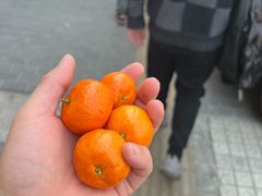 -张川人•甘肃天水麻辣烫(北医三院店)