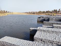 -春花秋色城市公园