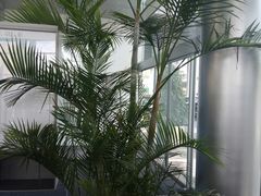 -天津波士信达奔驰4S店(卫津南路店)