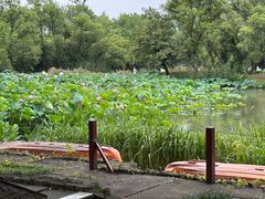 -西溪国家湿地公园