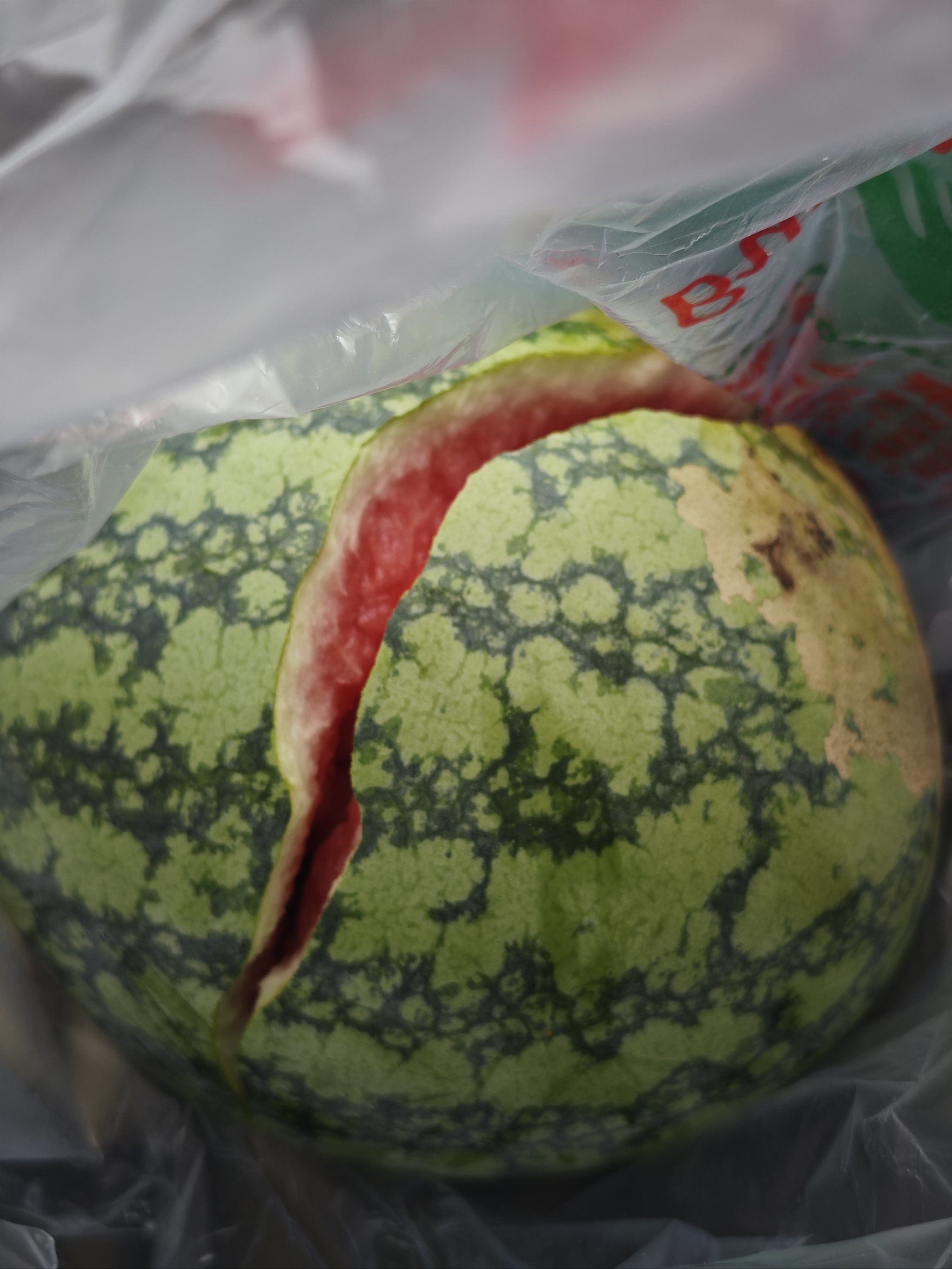 西瓜脆得骑个自行车就自己裂开啦