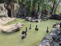 -燕塞湖鸟语林景区