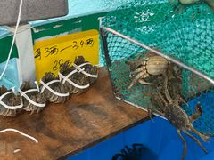 -品鲜村农家菜·阳澄湖大闸蟹(总店)