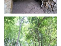 -上海佘山国家森林公园天马山园