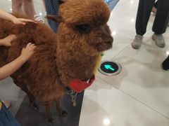 -汇德隆银隆