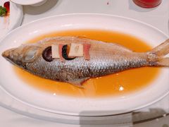 -蝶园·装修中(BFC外滩金融中心店)