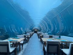 -海棠湾洲际-涛·海底餐厅·美人鱼·自助餐·海底隧道