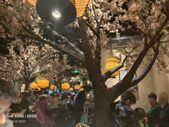 -绿茶餐厅(昌平悦荟店)