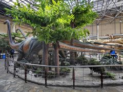 -国家自然博物馆