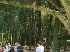 -千岛湖龙川湾