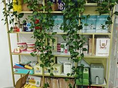-启辰口腔(南坪店)