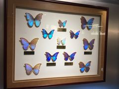 -上海昆虫博物馆