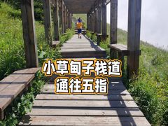 -白草畔自然风景区