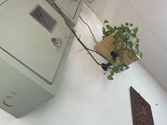 -沪依小酒馆心意菜