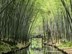 -同里国家湿地公园