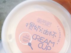 -葡萄树蛋糕(友好店)