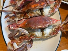 -金海湾海鲜排档(朱家尖店)