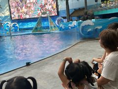 -海合安成都极地海洋公园